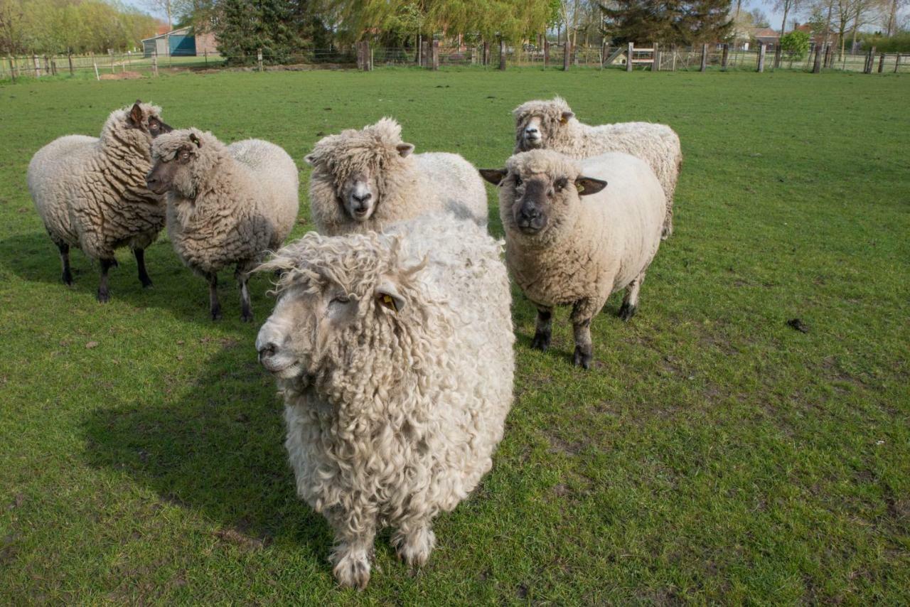 Boeren Biezen Bed Landelijk别墅 外观 照片