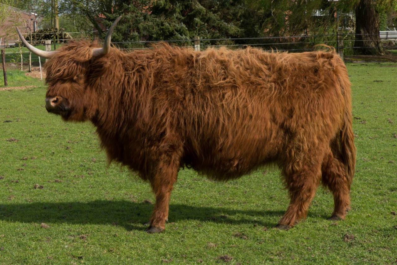Boeren Biezen Bed Landelijk别墅 外观 照片