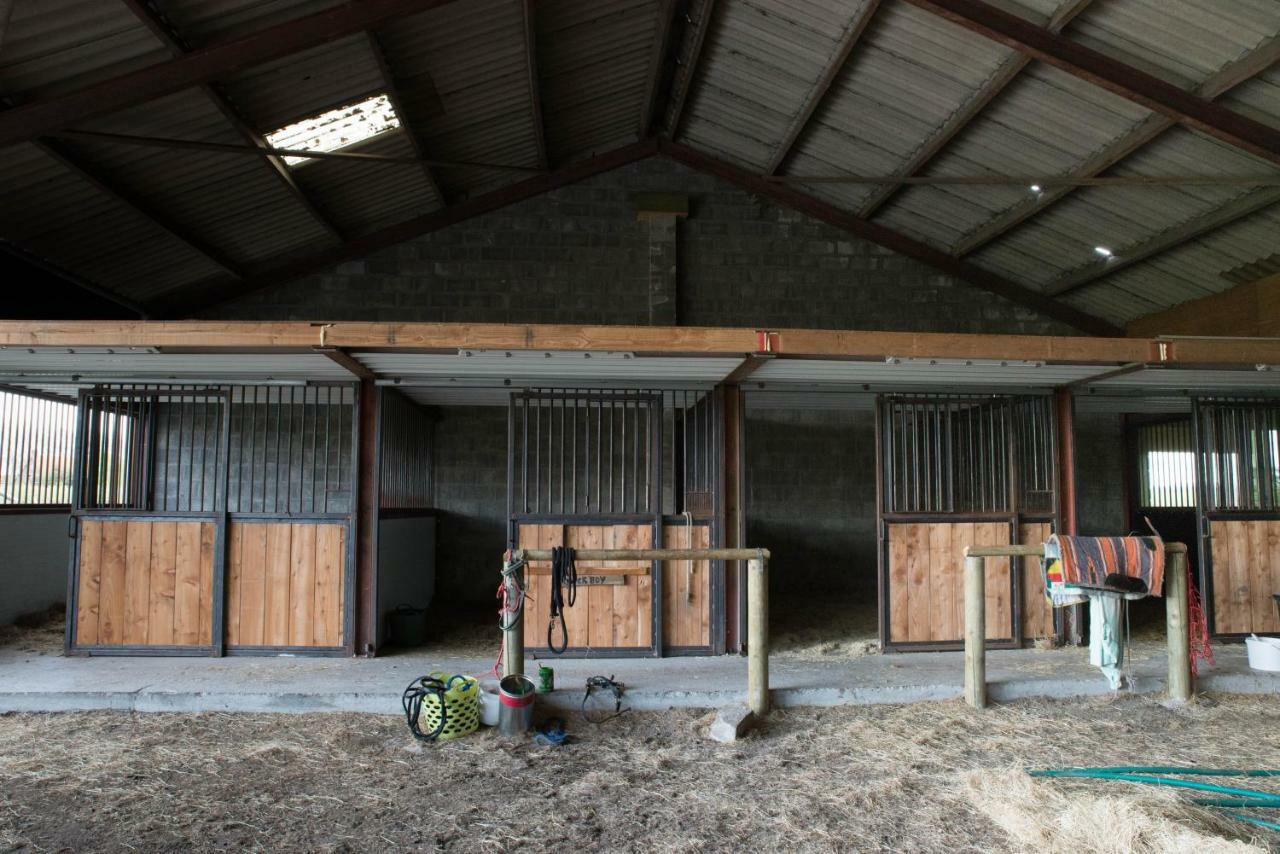 Boeren Biezen Bed Landelijk别墅 外观 照片