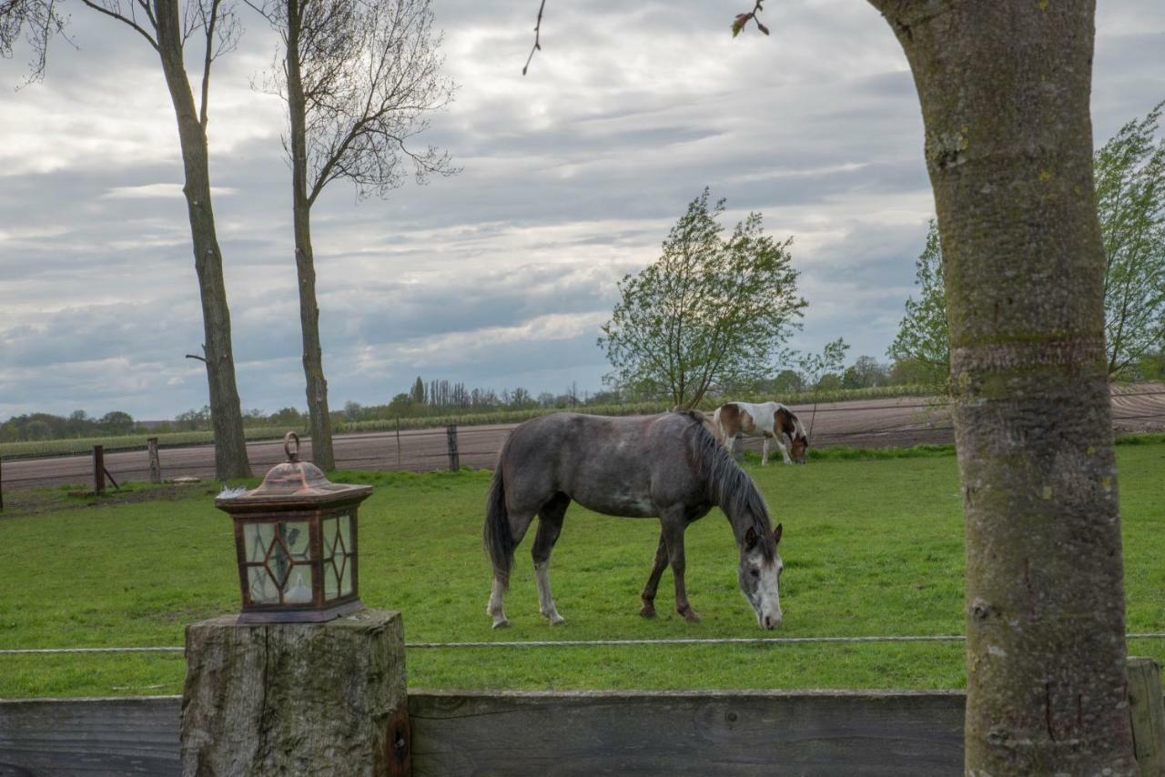 Boeren Biezen Bed Landelijk别墅 外观 照片