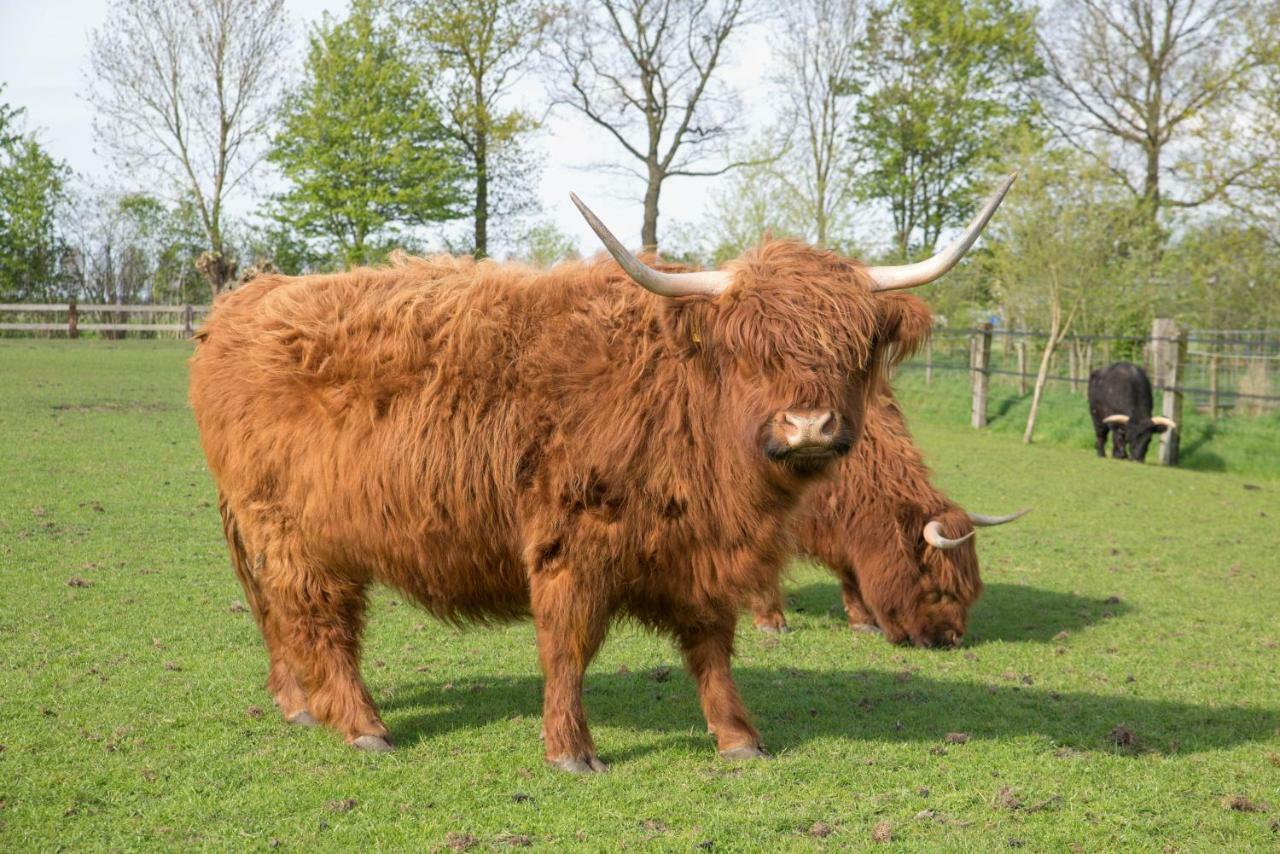 Boeren Biezen Bed Landelijk别墅 外观 照片